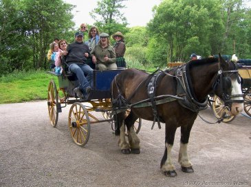 horse and cart, kerry, ireland