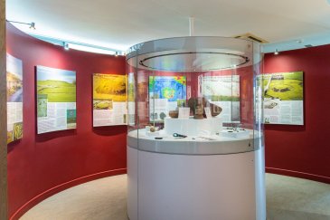 a showcase in a museum with different images and a glass cylinder holding a display