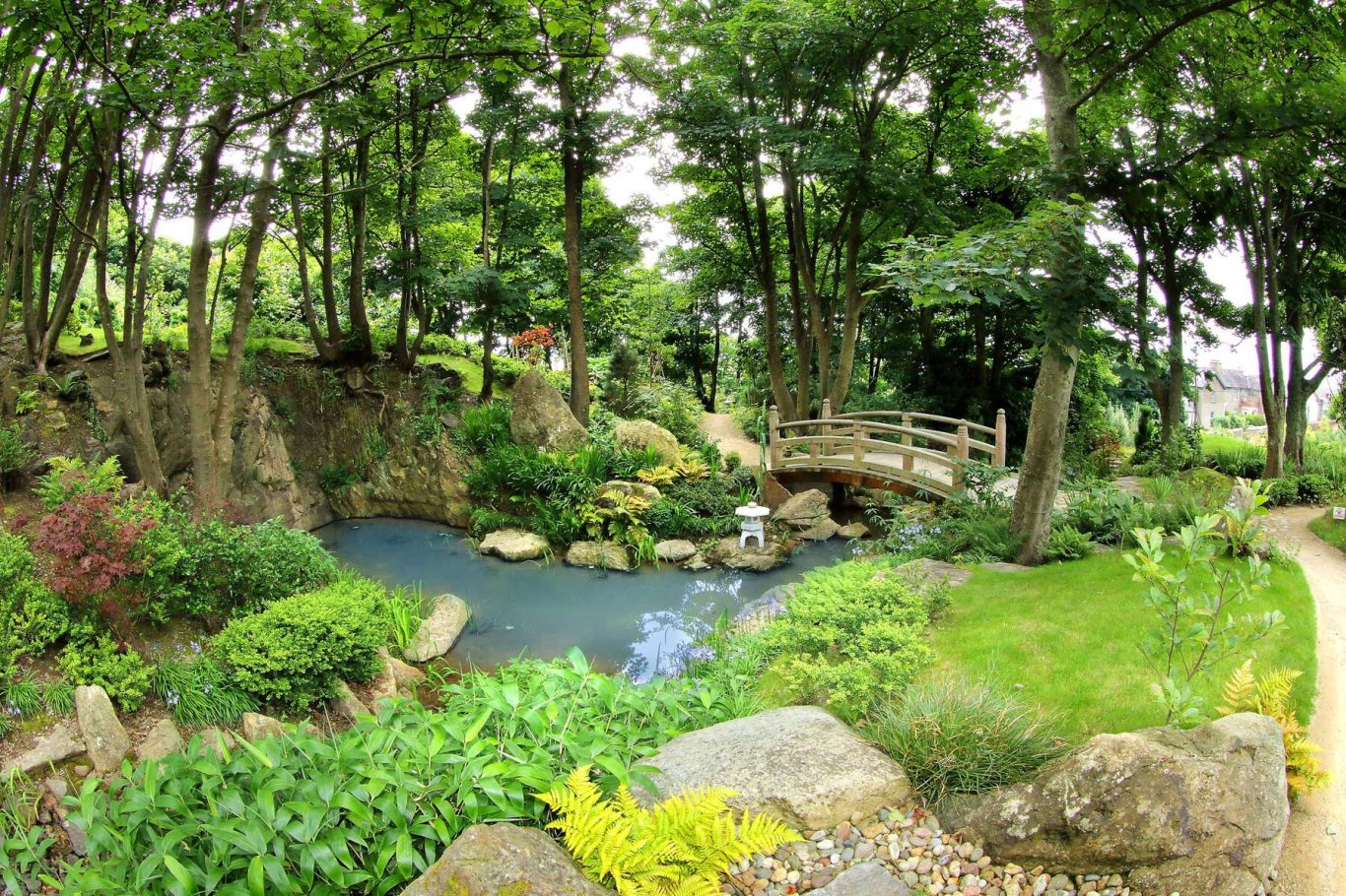 Garden with bridge 
