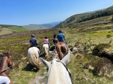 riding horses through scenic places
